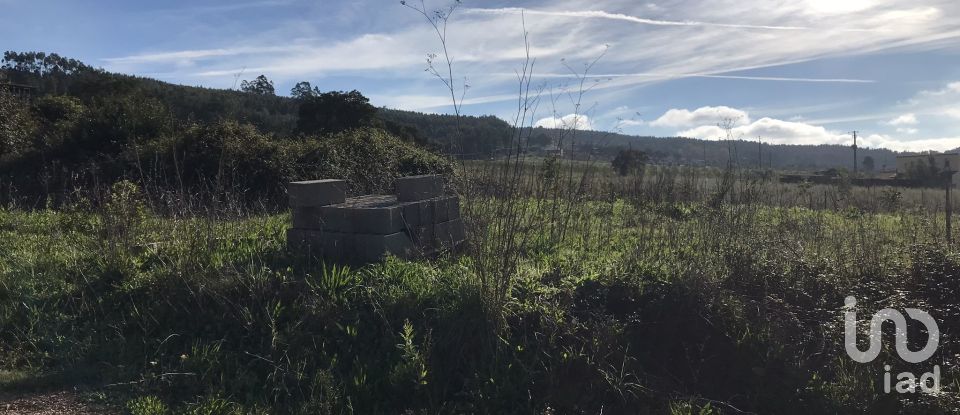 Terrain à Águas Belas de 79 880 m²