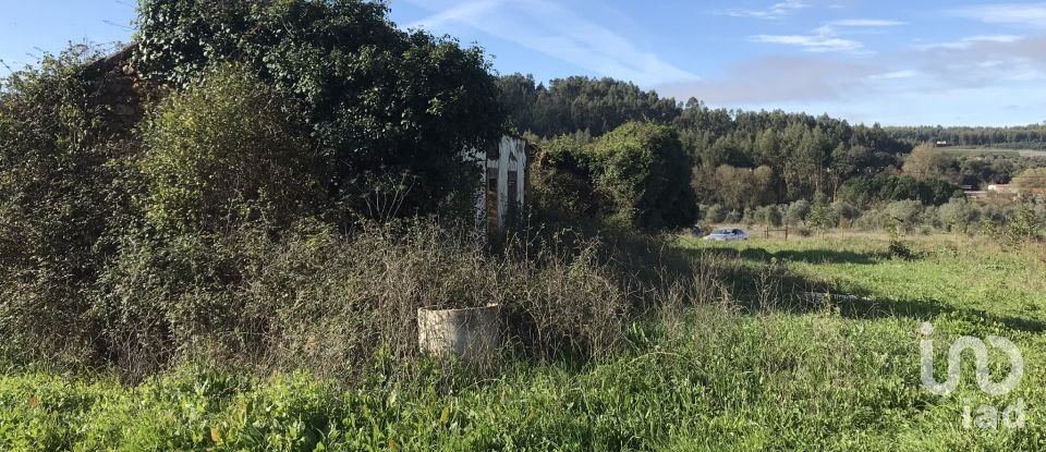 Terrain à Águas Belas de 79 880 m²