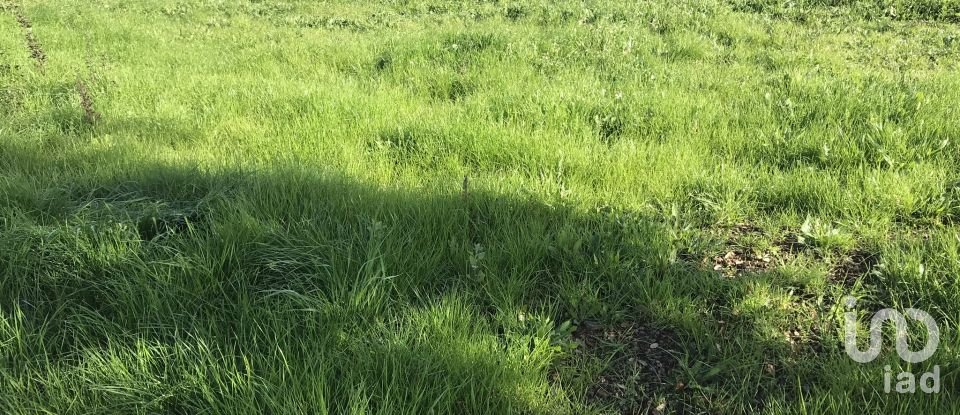 Terrain à Águas Belas de 79 880 m²