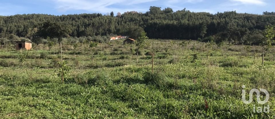 Terrain à Águas Belas de 79 880 m²