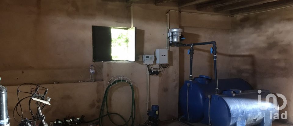 Terrain à Águas Belas de 79 880 m²