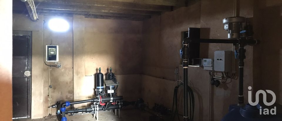 Terrain à Águas Belas de 79 880 m²