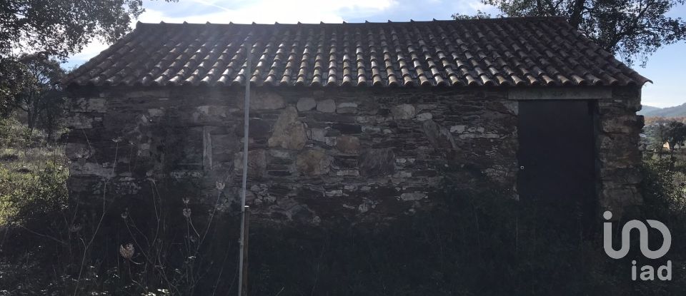 Terrain à Águas Belas de 79 880 m²