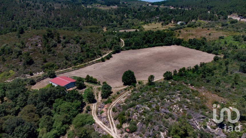 Terreno em Santa Cruz/Trindade E Sanjurge de 55 000 m²