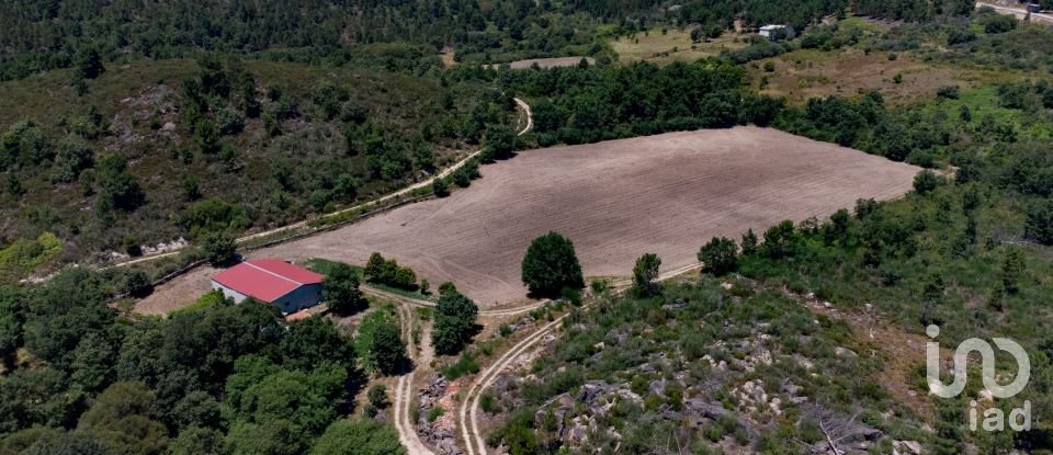Land in Santa Cruz/Trindade E Sanjurge of 55,000 m²