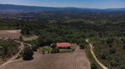 Terrain à Santa Cruz/Trindade E Sanjurge de 55 000 m²