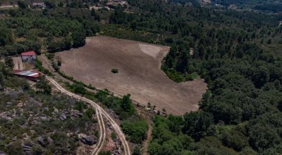 Land in Santa Cruz/Trindade E Sanjurge of 55,000 m²