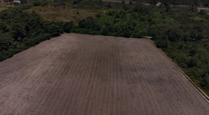 Terreno em Santa Cruz/Trindade E Sanjurge de 55 000 m²