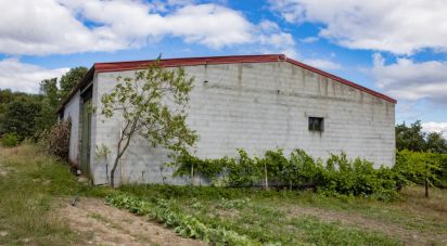 Terrain à Santa Cruz/Trindade E Sanjurge de 55 000 m²