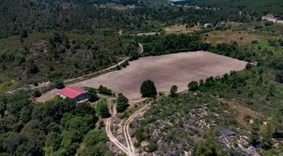 Terrain à Santa Cruz/Trindade E Sanjurge de 55 000 m²