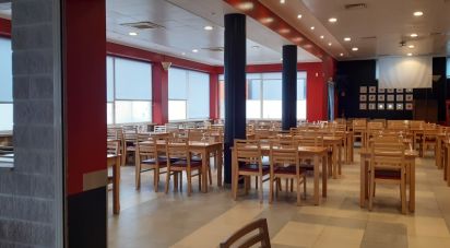 Restaurante em Caldas da Rainha - Santo Onofre e Serra do Bouro de 770 m²