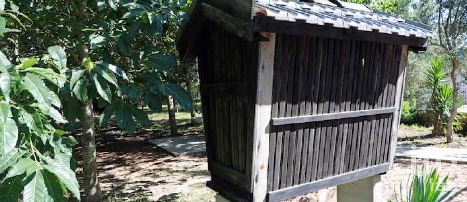 Ferme T3 à Santa Maria da Feira, Travanca, Sanfins e Espargo de 135 m²