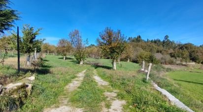 Terrain à Mões de 7 026 m²