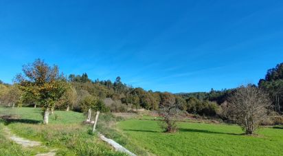 Terrain à Mões de 7 026 m²