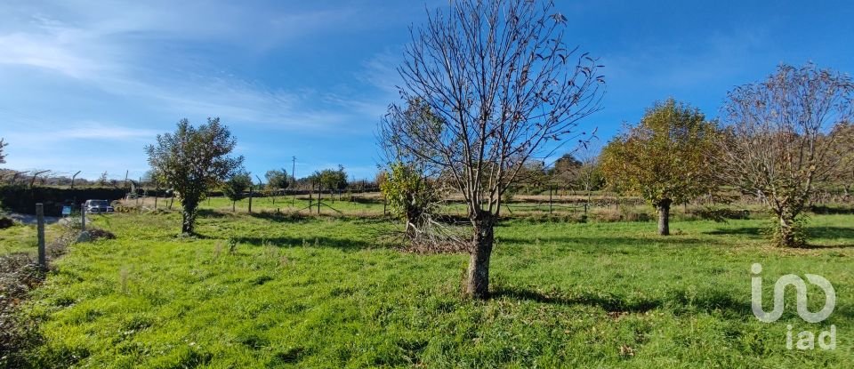 Terrain à Mões de 7 026 m²