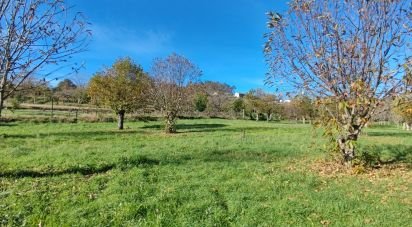 Terrain à Mões de 7 026 m²