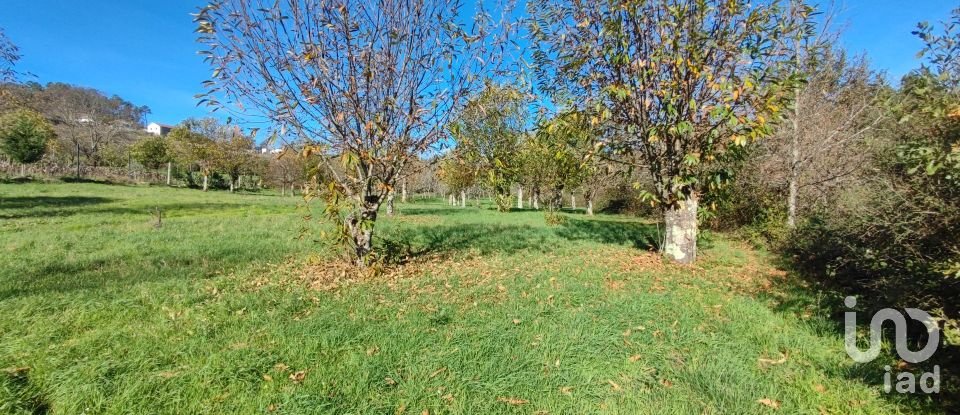 Terrain à Mões de 7 026 m²