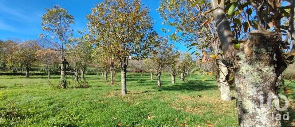 Terrain à Mões de 7 026 m²