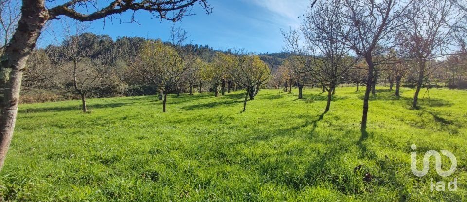 Terrain à Mões de 7 026 m²