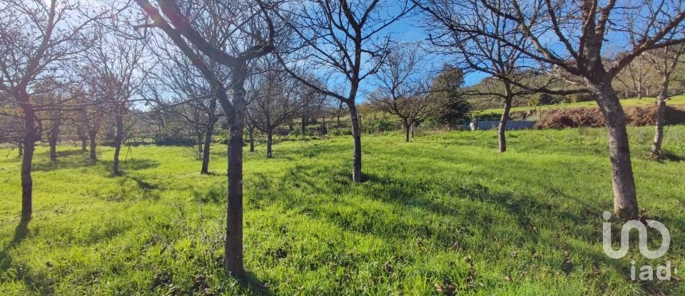 Terrain à Mões de 7 026 m²