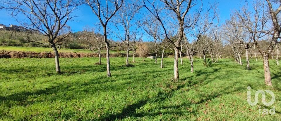 Terrain à Mões de 7 026 m²