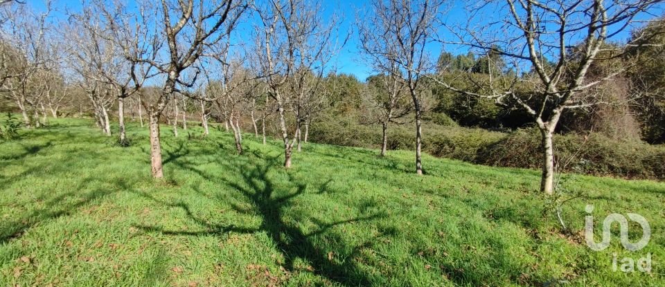 Terrain à Mões de 7 026 m²