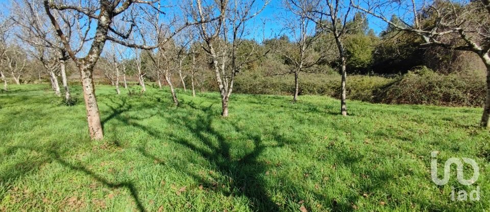 Terrain à Mões de 7 026 m²