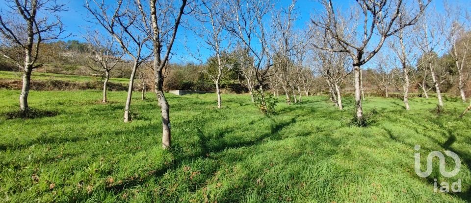 Terrain à Mões de 7 026 m²