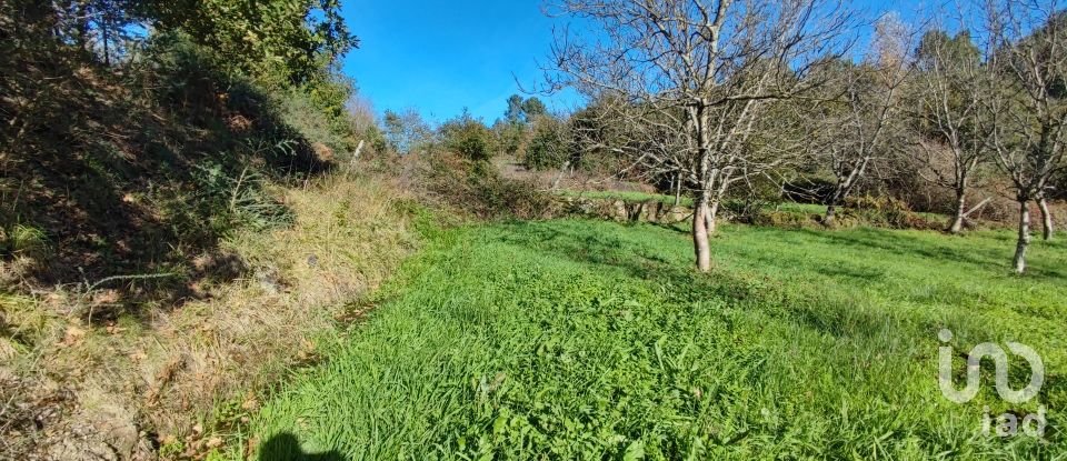 Terrain à Mões de 7 026 m²