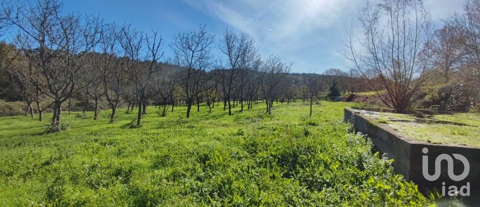 Terrain à Mões de 7 026 m²