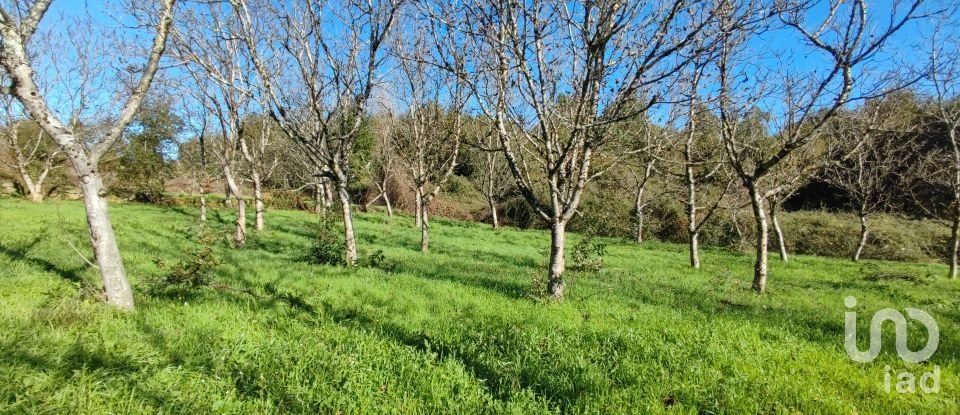 Terrain à Mões de 7 026 m²