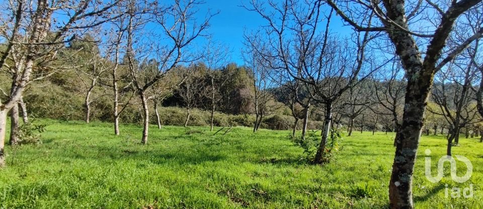 Terrain à Mões de 7 026 m²