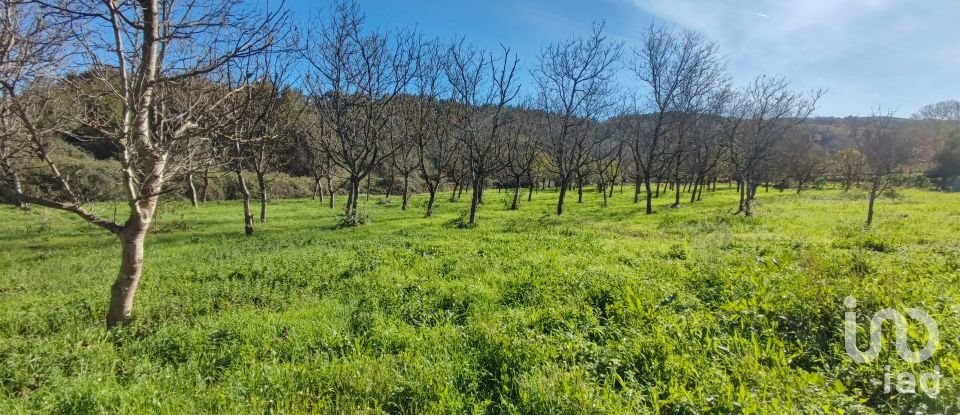 Terrain à Mões de 7 026 m²