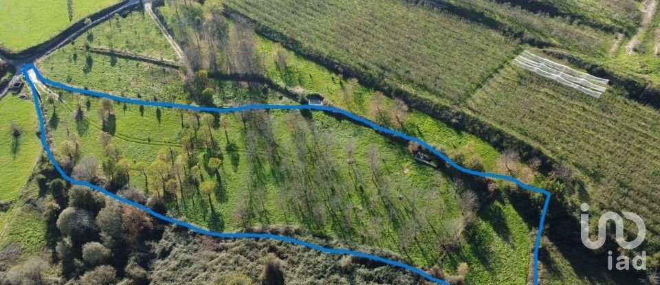 Terrain à Mões de 7 026 m²