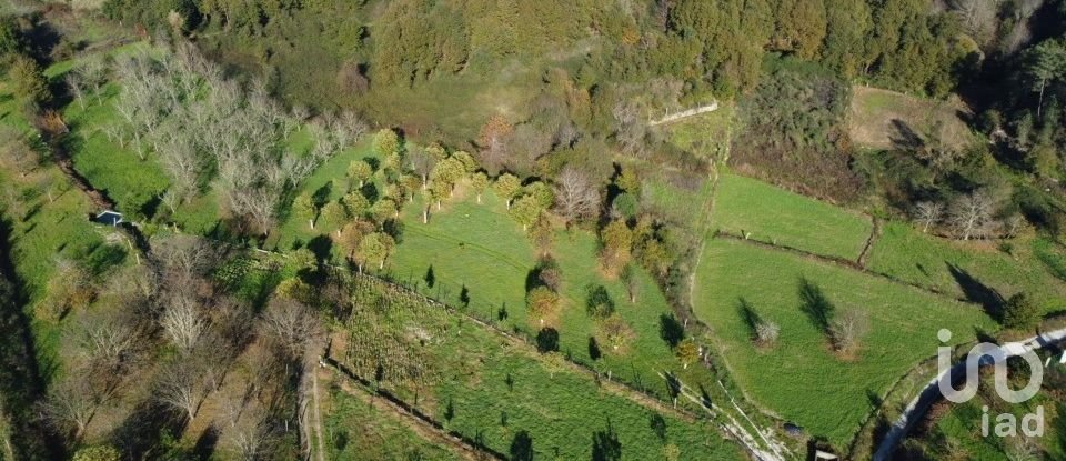 Terrain à Mões de 7 026 m²