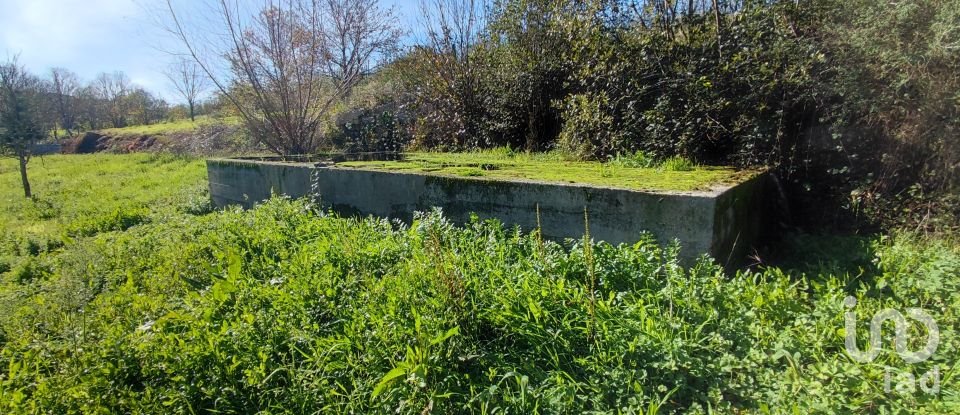 Terrain à Mões de 7 026 m²