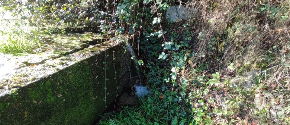 Terrain à Mões de 7 026 m²