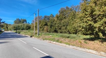 Terrain à Mões de 7 230 m²