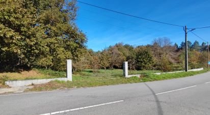 Terrain à Mões de 7 230 m²