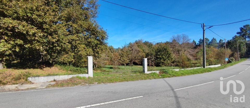 Terrain à Mões de 7 230 m²