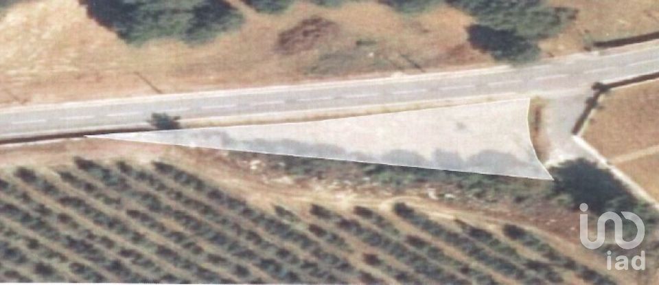 Terrain à Mões de 7 230 m²