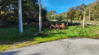 Terrain à Mões de 7 230 m²