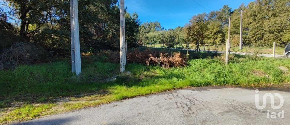 Terrain à Mões de 7 230 m²