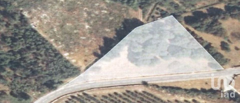 Terrain à Mões de 7 230 m²