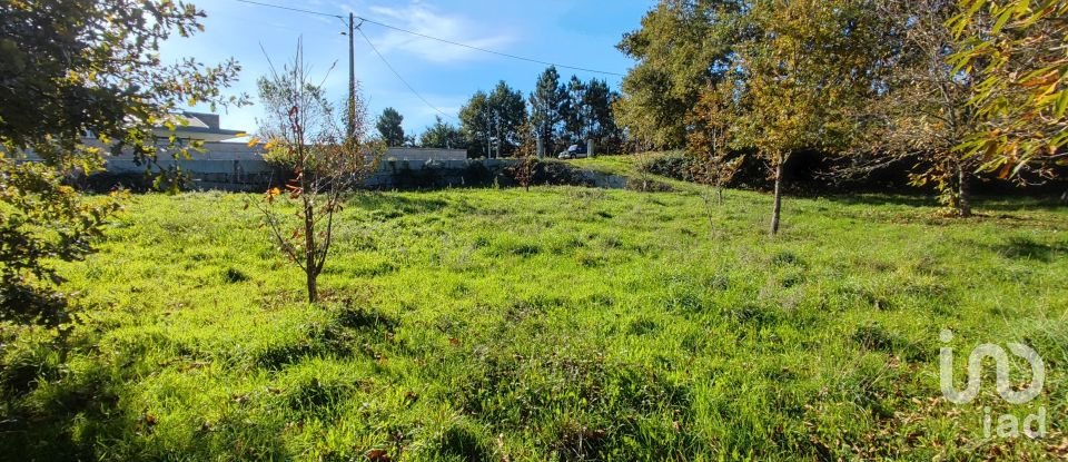 Terrain à Mões de 7 230 m²