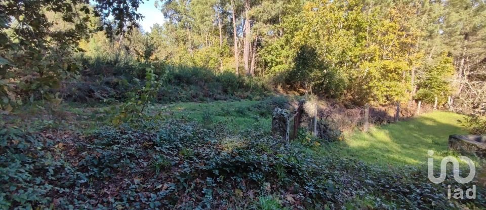 Terrain à Mões de 7 230 m²