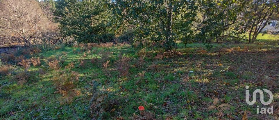 Terrain à Mões de 7 230 m²