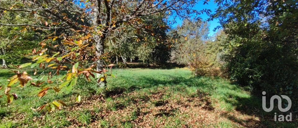 Terrain à Mões de 7 230 m²