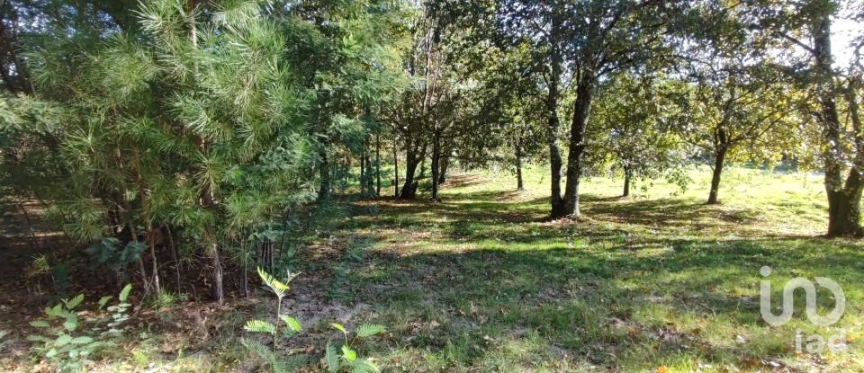 Terrain à Mões de 7 230 m²