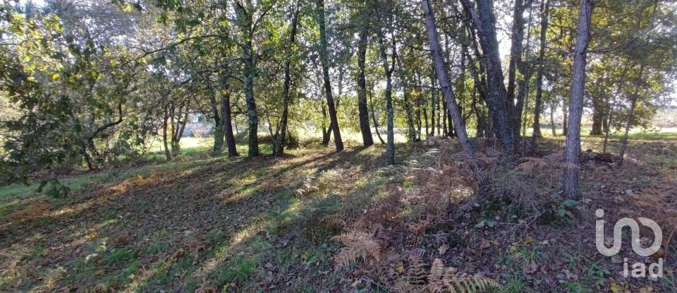 Terrain à Mões de 7 230 m²